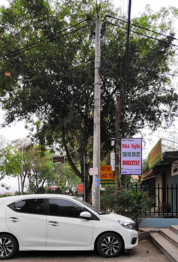 Chỗ để xe miễn phí trước cửa nhà nghỉ Tam Cốc Sunset Homestay